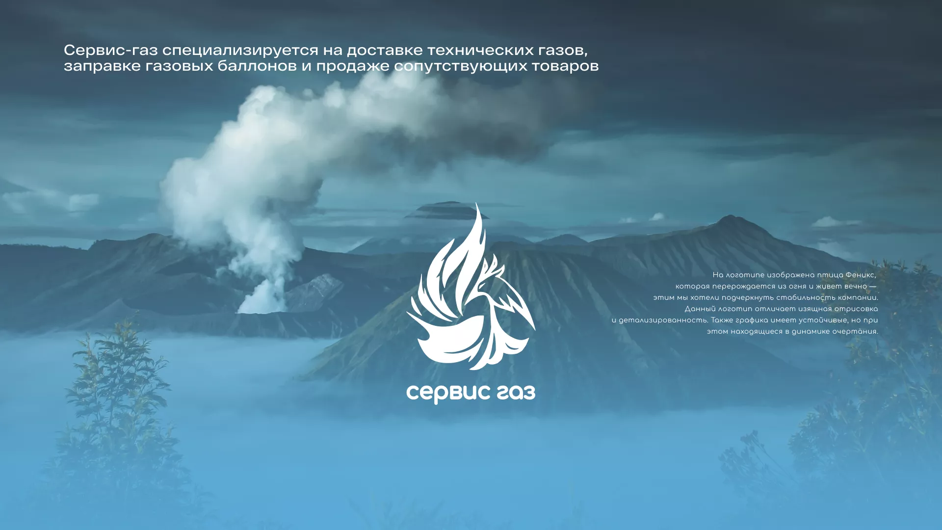 Создание сайта компании «Сервис газ» в Ломоносове