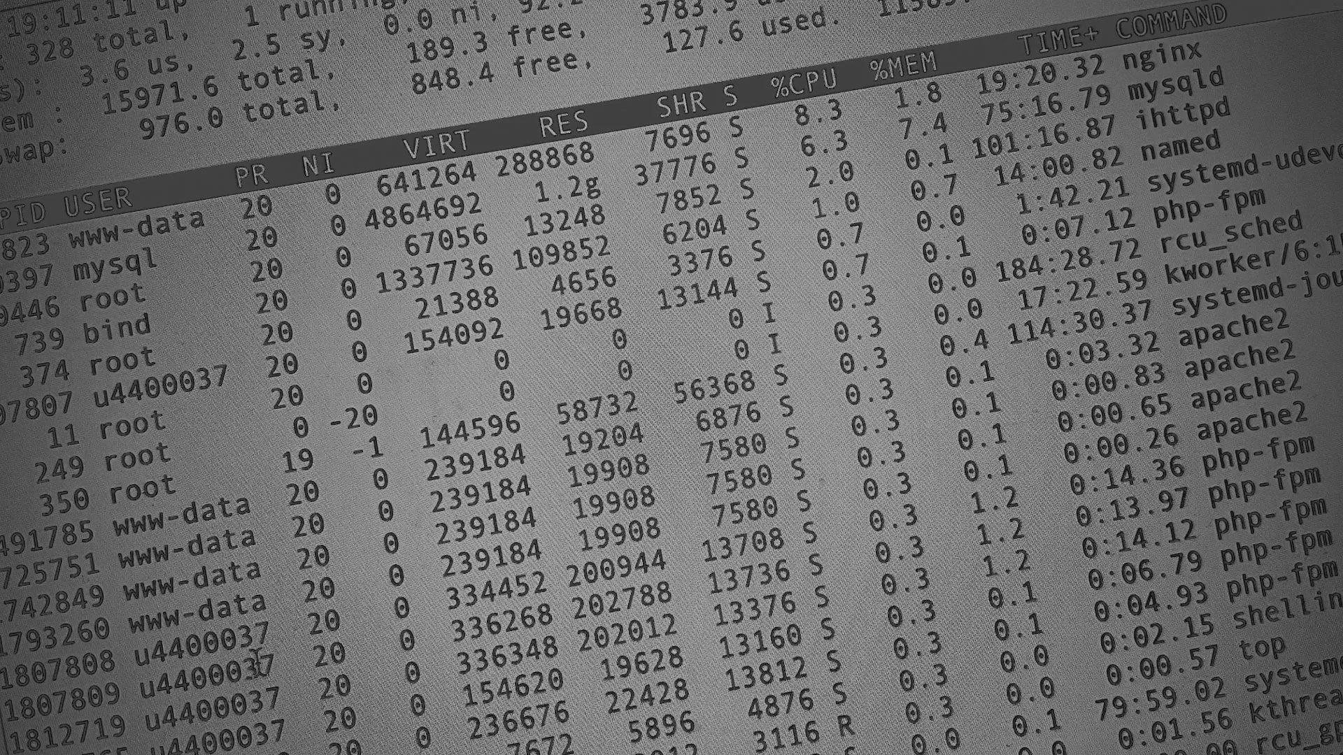 Настройка сервера в Ломоносове